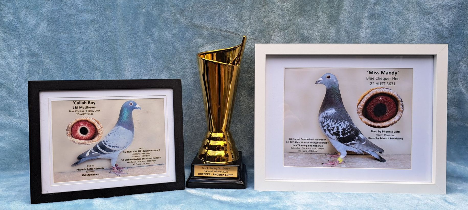 Phoenix Lofts National Winner Trophy